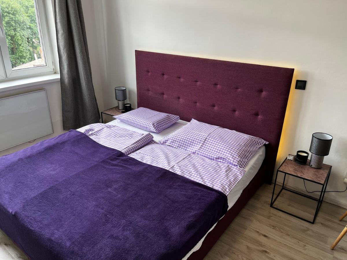Large 3 Bedroom Apartment With City Skyline View Karlovy Vary Exterior foto